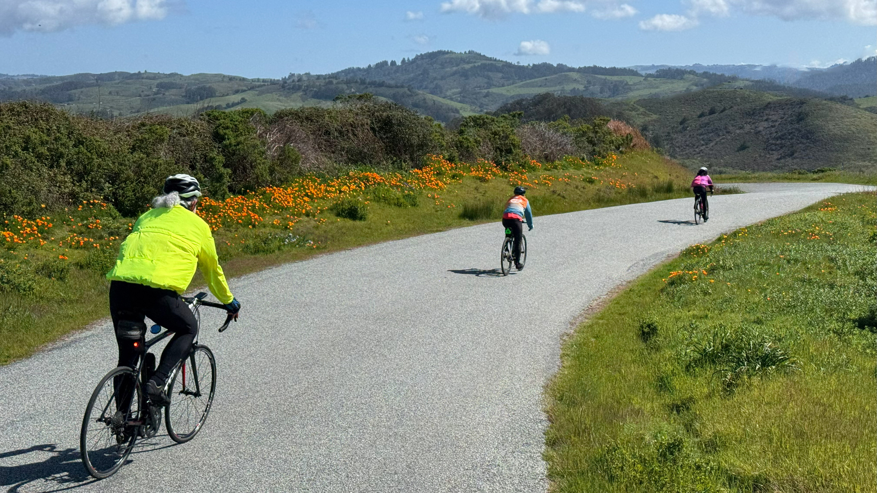 California Dreaming v2.jpg